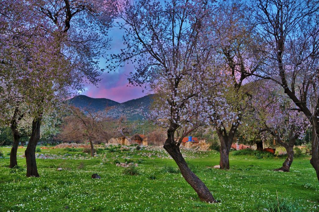 Beymelek Tas Evler Guest House Demre Exterior foto